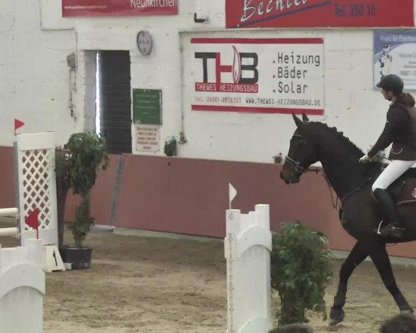 Reitturnier Neunkirchen-Furpach 2017