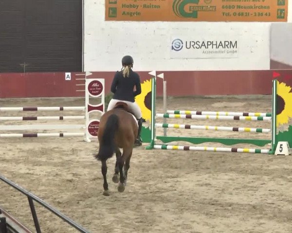 Reitturnier Neunkirchen-Furpach 2017