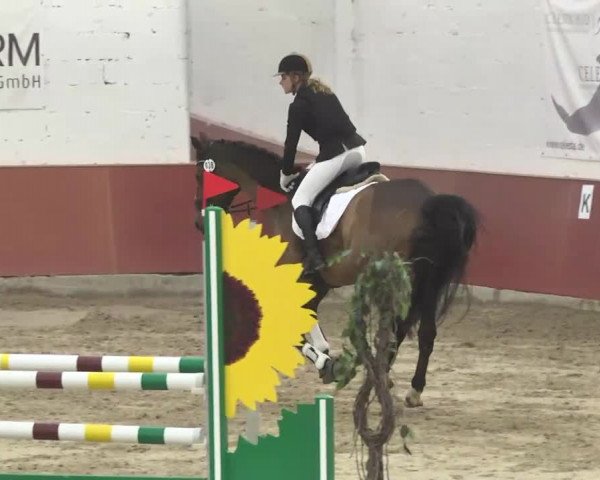 Reitturnier Neunkirchen-Furpach 2017