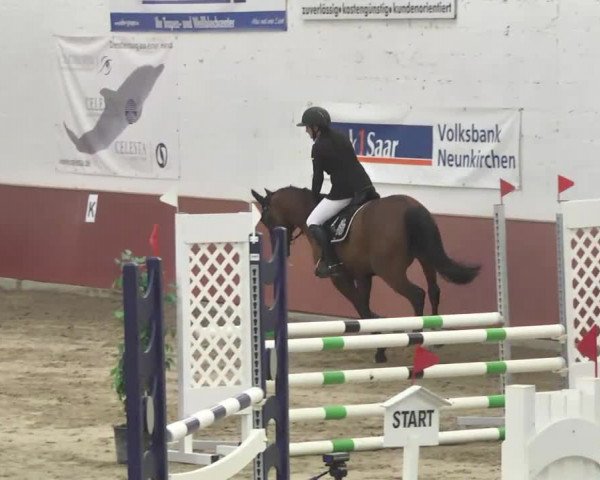 Reitturnier Neunkirchen-Furpach 2017