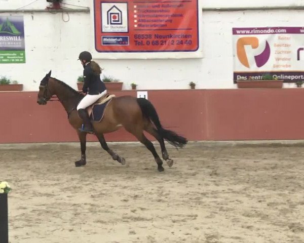 Reitturnier Neunkirchen-Furpach 2017