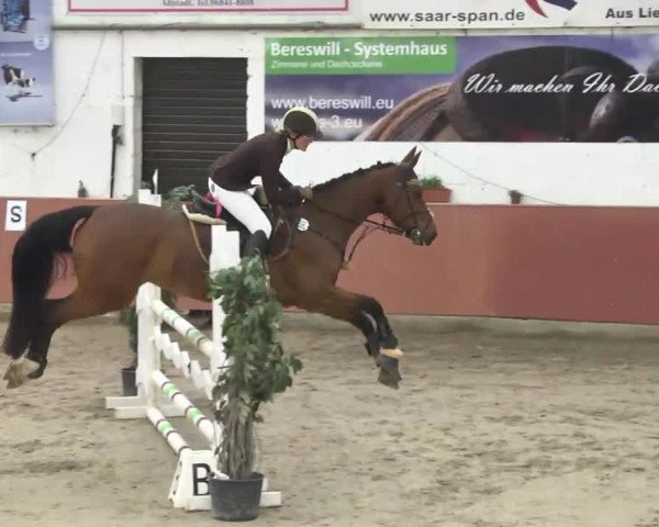 Reitturnier Neunkirchen-Furpach 2017