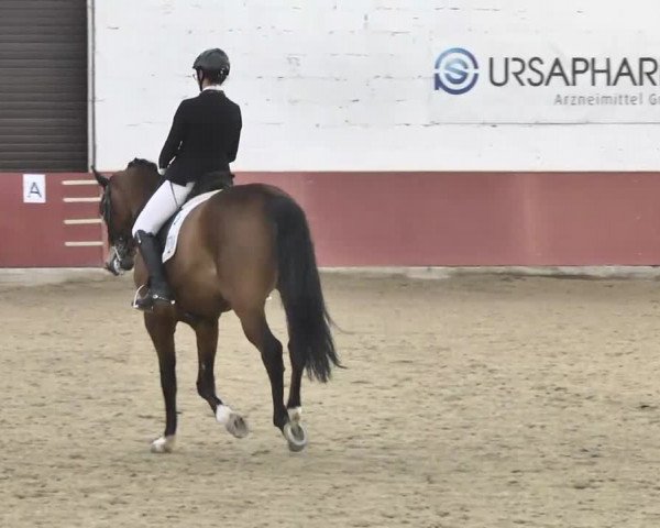 Reitturnier Neunkirchen-Furpach 2017