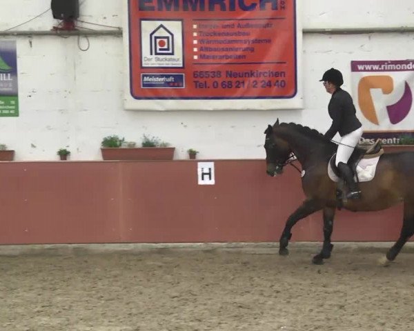 Reitturnier Neunkirchen-Furpach 2017