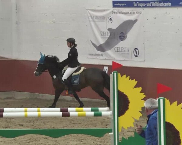Reitturnier Neunkirchen-Furpach 2017