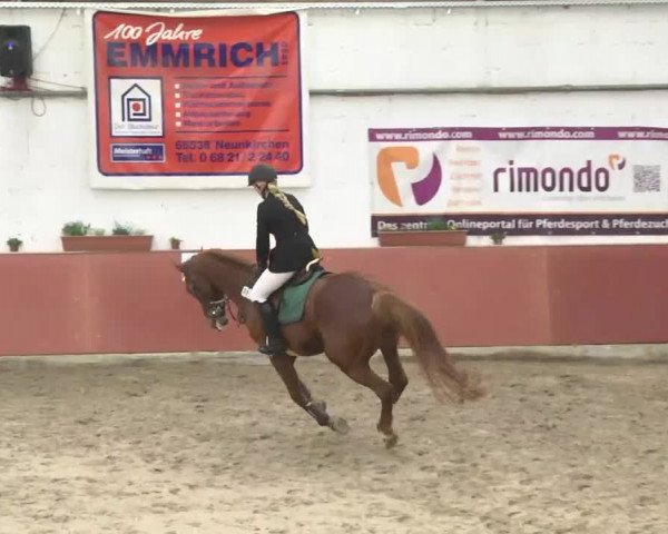 Reitturnier Neunkirchen-Furpach 2017