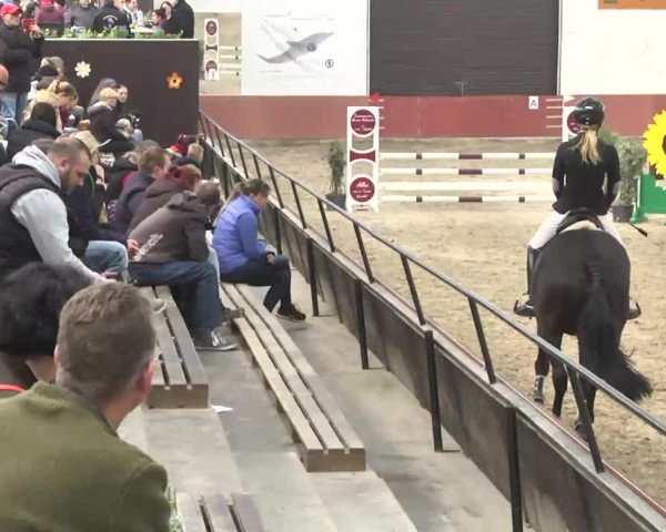 Reitturnier Neunkirchen-Furpach 2017