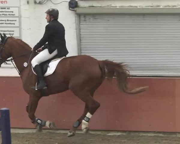 Reitturnier Neunkirchen-Furpach 2017