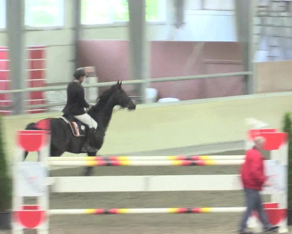 Reitturnier Waghäusel-Wiesental 2017
