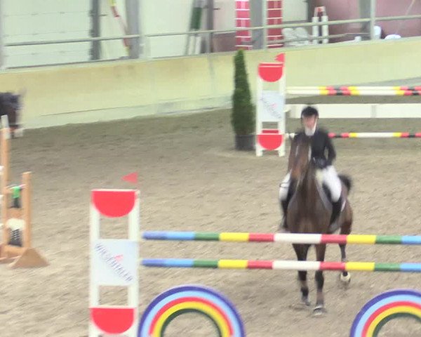 Reitturnier Waghäusel-Wiesental 2017