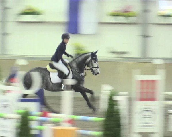 Reitturnier Waghäusel-Wiesental 2017
