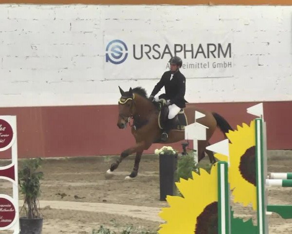 Reitturnier Neunkirchen-Furpach 2017