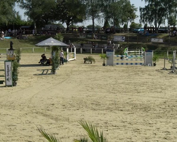 Reitturnier Reilingen 2021