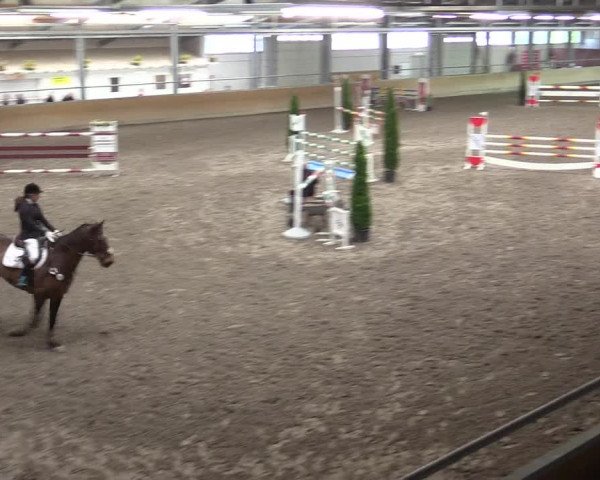 Reitturnier Waghäusel-Wiesental 2017