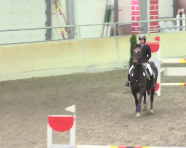Reitturnier Waghäusel-Wiesental 2017