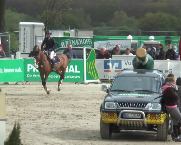Reitturnier Werne-Lenklar 2017