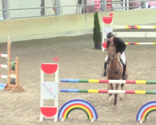 Reitturnier Waghäusel-Wiesental 2017