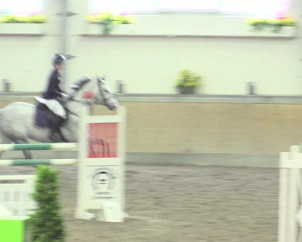 Reitturnier Waghäusel-Wiesental 2017