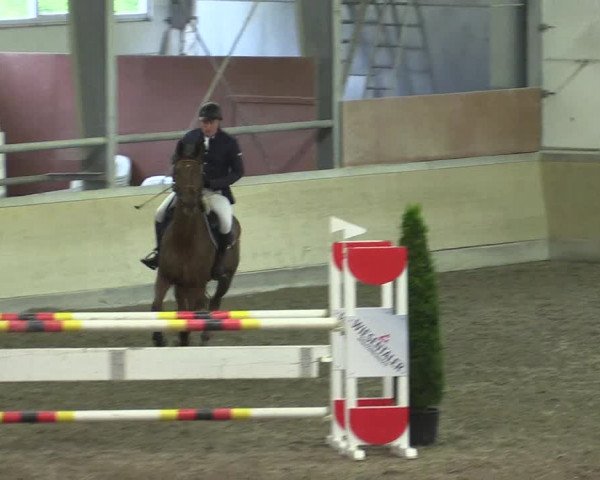 Reitturnier Waghäusel-Wiesental 2017