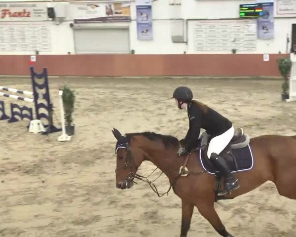 Reitturnier Neunkirchen-Furpach 2017