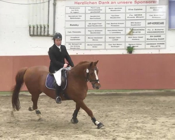 Reitturnier Neunkirchen-Furpach 2017
