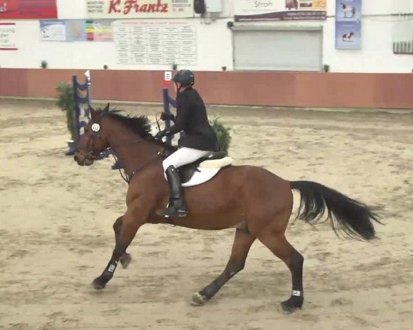 Reitturnier Neunkirchen-Furpach 2017