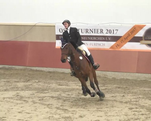Reitturnier Neunkirchen-Furpach 2017