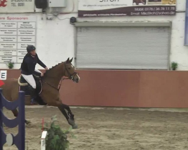 Reitturnier Neunkirchen-Furpach 2017