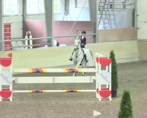 Reitturnier Waghäusel-Wiesental 2017
