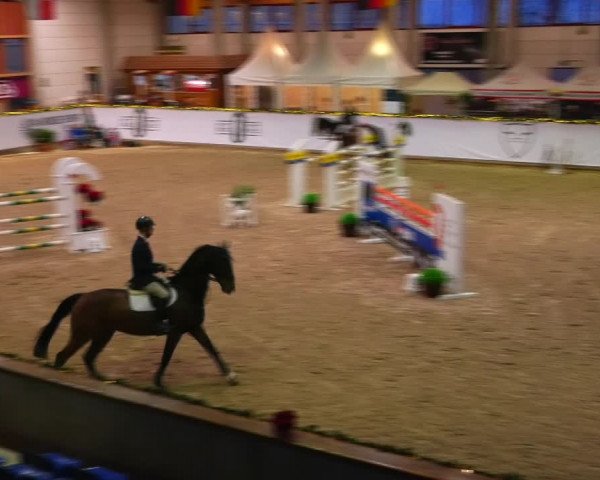 Christmas Jumping Trophy Prussendorf 2021