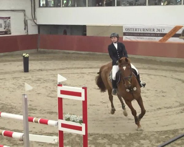 Reitturnier Neunkirchen-Furpach 2017
