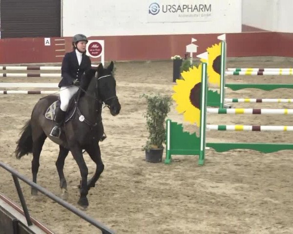 Reitturnier Neunkirchen-Furpach 2017