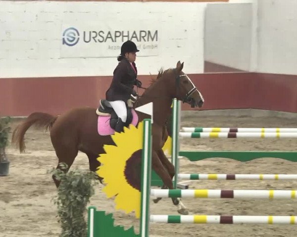 Reitturnier Neunkirchen-Furpach 2017