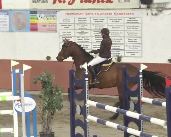 Reitturnier Neunkirchen-Furpach 2017
