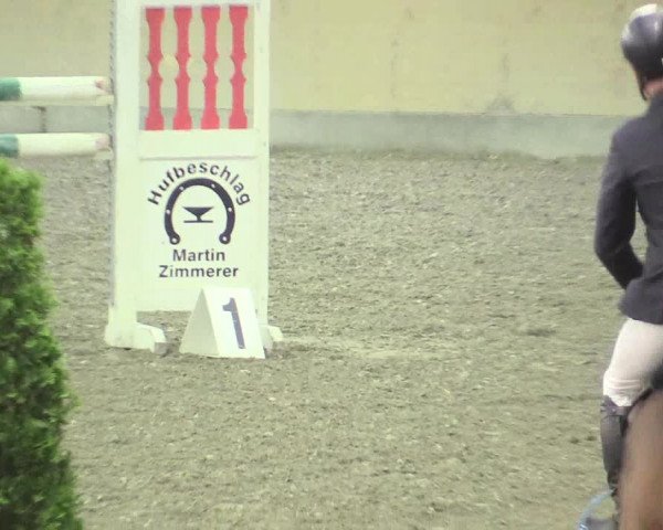 Reitturnier Waghäusel-Wiesental 2017