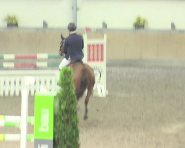Reitturnier Waghäusel-Wiesental 2017