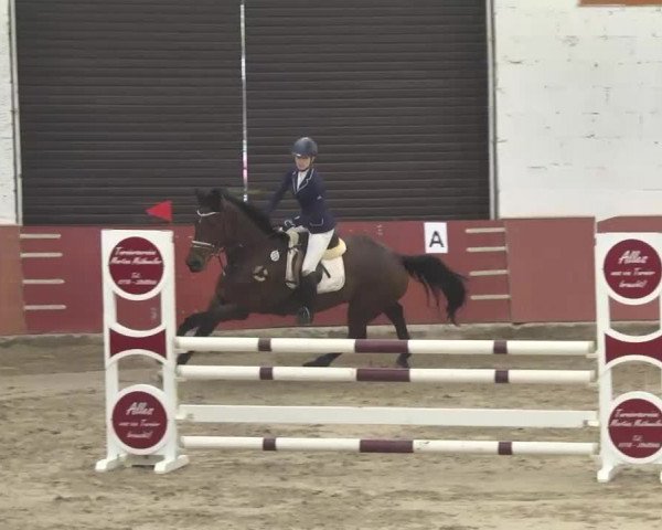 Reitturnier Neunkirchen-Furpach 2017