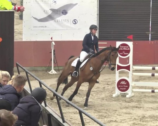 Reitturnier Neunkirchen-Furpach 2017