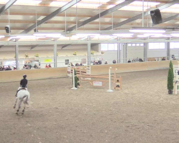 Reitturnier Waghäusel-Wiesental 2017