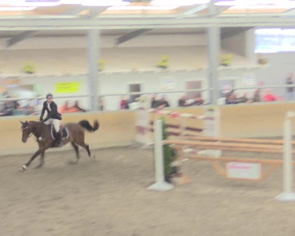 Reitturnier Waghäusel-Wiesental 2017