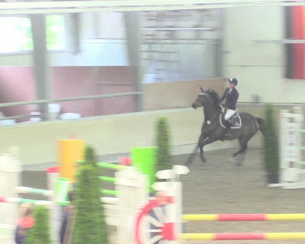 Reitturnier Waghäusel-Wiesental 2017