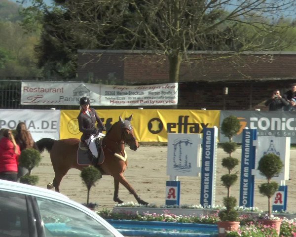 Lenklarer Reitertage 2017