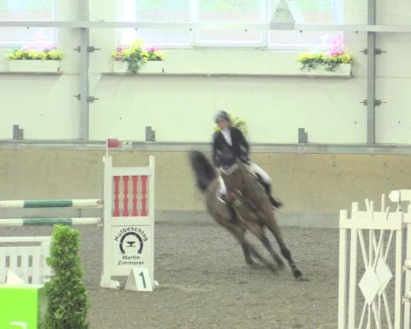 Reitturnier Waghäusel-Wiesental 2017