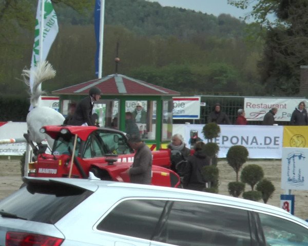 Lenklarer Reitertage 2017