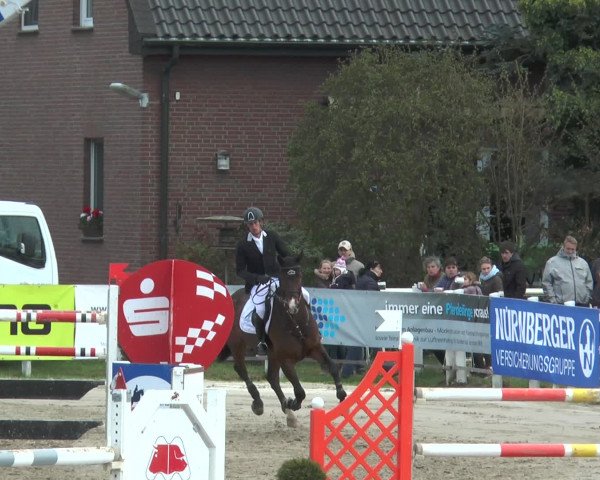 Reitturnier Werne-Lenklar 2017
