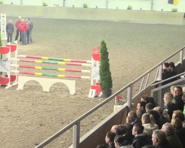 Reitturnier Waghäusel-Wiesental 2017