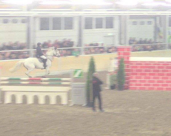 Reitturnier Waghäusel-Wiesental 2017