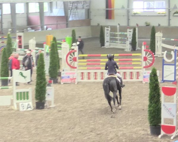 Reitturnier Waghäusel-Wiesental 2017