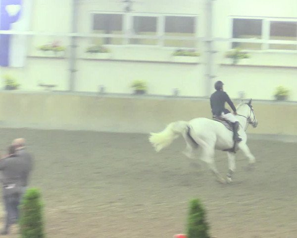 Reitturnier Waghäusel-Wiesental 2017