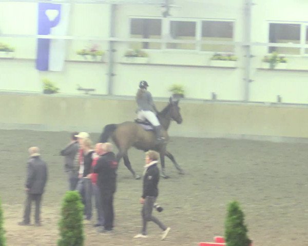 Reitturnier Waghäusel-Wiesental 2017